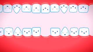 Il Calendario di denti da latte e denti permanenti [upl. by Seditsira]