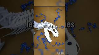 How do fossils form step by step shorts youtubeshorts shapesoflife shortfeed shortvideo viral [upl. by Cara]