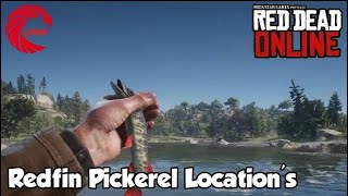 Redfin Pickerel Locations rdr2 Online  Red Dead Online Redfin Pickerel Location Guide [upl. by Williamson]