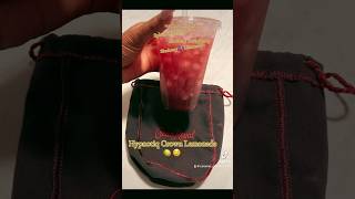 Hypnotiq Berry Crown Lemonade [upl. by Yttig]