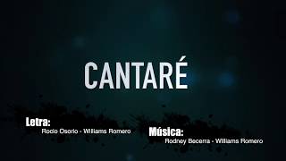 Cantaré Karaoke 432Hz [upl. by Atteynad]