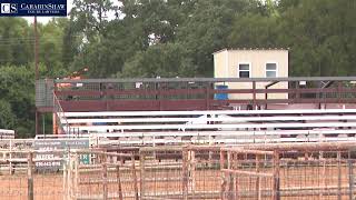 Kendall County Fair bleacher collapse [upl. by Hilaria]