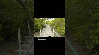 dil ki patang na whatsappstatus travel naturallover ytshorts song [upl. by Retsam]