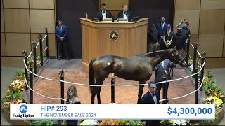 Moira sells for 4300000 at The November Sale 2024 [upl. by Rephotsirhc]