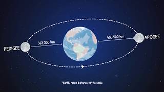 What Makes a Supermoon Super Animation [upl. by Mora]