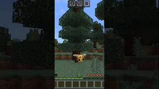 Morphing bracelet addon MCPE 12141 [upl. by Yro]