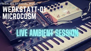 Microcosm  Werkstatt01 Live Ambient Jam Session Relaxing Ambient [upl. by Nollad47]