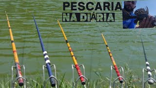 pesqueiro alfa Mauá pesca pescarianadiaria pesqueiroalfa iscas peixe [upl. by Ecinad]