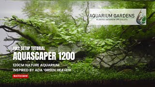 120cm Nature Aquarium Aquascape Setup Tutorial Inspired by ADA quotGreen Heavenquot [upl. by Mozart726]