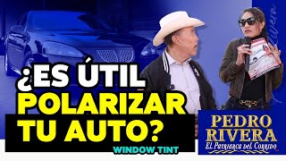 Razones para Polarizar tus Ventanas  Window Tint  Pedro Rivera [upl. by Ahsiener]