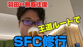 【SFC修行2】王道ルート 羽田沖縄往復へ！ [upl. by Barnum524]