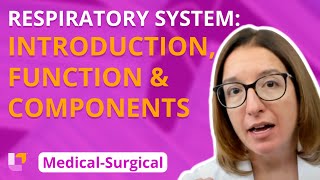 Respiratory System Introduction Function amp Components  MedicalSurgical  LevelUpRN [upl. by Haym]