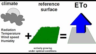 🔴Reference Evapotranspiration ETo explained ⛅️🌤 [upl. by Eirual]