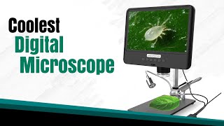 Andonstar AD208 Digital Microscope Review for Teachers [upl. by Notreb485]