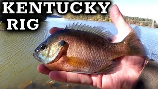 Catch More Fish with a Kentucky Rig Easy Fishing Rig with TWO Hooks [upl. by Barkley]