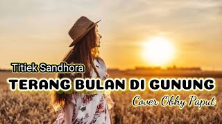 Lagu pop Mandarin TERANG BULAN DI GUNUNG Titik Sandora Cover  Obhy Paput [upl. by Cutlor219]