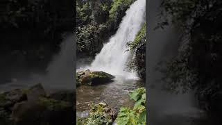 Viral Thailand falls shortvideo travel thailand thai [upl. by Thurlough84]