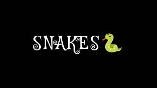 San T  Snakes  Lyrical Video  Tamil Rap [upl. by Acceber]