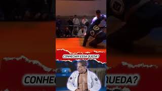 LINDA QUEDA DO MICA GALVÃO bjj jiujitsu jiujitsunaveia [upl. by Yelkcub604]