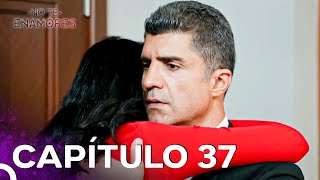 Capítulo 37  No Te Enamores Versión Larga [upl. by Johan]