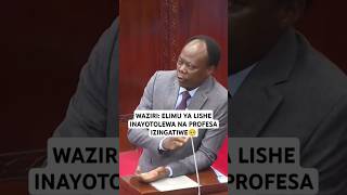 WAZIRI ELIMU YA LISHE INAYOTOLEWA NA PROFESA IZINGATIWE🥺 lishe bungeni dodoma janabi globaltv [upl. by Yramanna]