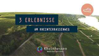 Wandern in Rheinhessen│3 Erlebnisse am RheinTerrassenWeg│Kulinarik amp Spaß [upl. by Enamrahc]