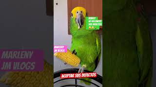 Rebeco y sus defectos parati humor mismascotas viralvideo shorts [upl. by Rosenberger]