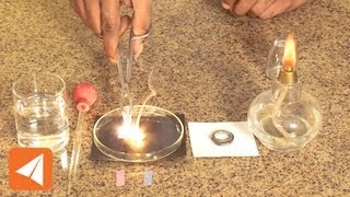 Magnesium Oxide and water Acids amp Bases  Chemistry [upl. by Almira652]