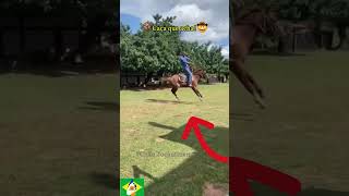 🔵Caça que acha🏇 Cavalo impacador forte e bruto pulo roça cavalo vidanaroça bruto fazenda [upl. by Nilyahs]