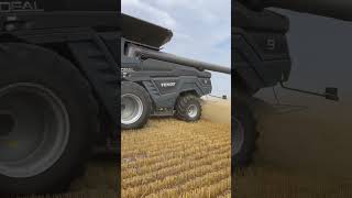 Fendt Ideal 9 with a 45’ Geringhoff TruFlex Razor Air in 65 bu wheat [upl. by Uni]