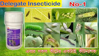 Delegate insecticide  spinetoram 117 sc  অসাধারণ কীটনাশক IIworld best Thripicide II Corteva agro [upl. by Monson706]