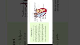 IMPORTANT DIAGRAM CLASS 10th howtogetsuccessinlife lifeprocesses biology getsuccess [upl. by Bena]