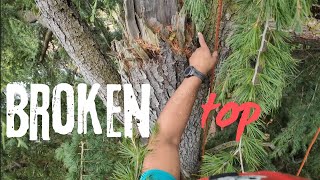 Certified Arborist Pruning Tree With Broken Top DRT Climbing [upl. by Nedyaj]