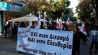 ΚΑΤΕΡΙΝΗ ΔΙΑΜΑΡΤΥΡΙΑ ΥΓΕΙΟΝΟΜΙΚΩΝ ΣΕ ΑΝΑΣΤΟΛΗ 201121 [upl. by Uba]