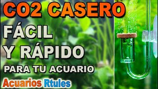 Cómo hacer Co2 casero para acuario con levadura FUNCIONA [upl. by Roti957]