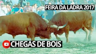 Chegas de Bois da Feira da Ladra 2017 [upl. by Aicirtac]