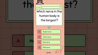 🧍 Discover the Longest Nerve in Your Body—Do You Know It mededtrivia biology quiz smarttrivia [upl. by Lukasz]