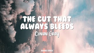 Conan Gray  The Cut That Always Bleeds [upl. by Ideih567]