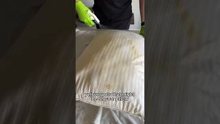 Wash Your Pillows Quick and Easy  Day 14 Spring Cleaning Spree 2024 cleaning iphone howto wow [upl. by Hsotnas]