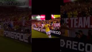 James rodriguez amazing goal vs usa🥵 [upl. by Cavit]