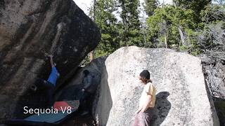 Fantasia Bouldering I [upl. by Carleen781]