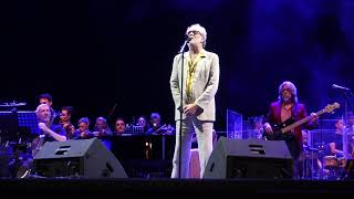 Generale  Francesco de Gregori quotRimini Notte Rosaquot [upl. by Nevaeh]