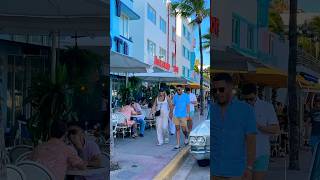 South Beachbeautiful travel earthparadise southbeach miamibeach wow viralvideo [upl. by Ayota886]