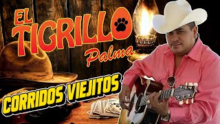 El Tigrillo Palma de Oro Puros Corridos Viejitos y Nortenas Pesadas 🎶 Mix para Pistear [upl. by Enilegnave]