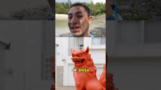 okinawa shisa uchinanchu culture [upl. by Ellerrad388]