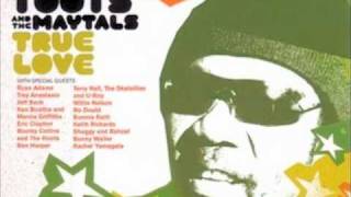 Never Grow Old  Toots amp The Maytals feat Terry Hall The Skatalites and URoy [upl. by Ainod]