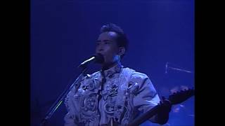 Susumu Hirasawa  QUIT Live 1990 [upl. by Ennoved870]