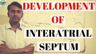 DEVELOPMENT OF INTERATRIAL SEPTUM [upl. by Sorci]