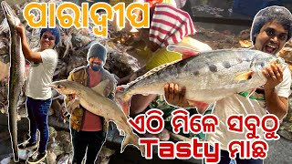 ଏଠି ମିଳେ ସବୁଠୁ Tasty ମାଛ 😋  Paradeep Fishing Harbour  Paradeep Port  Paradeep [upl. by Yeslek]