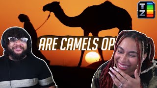 Are Camels OP  Tier Zoo Reaction [upl. by Aseen]